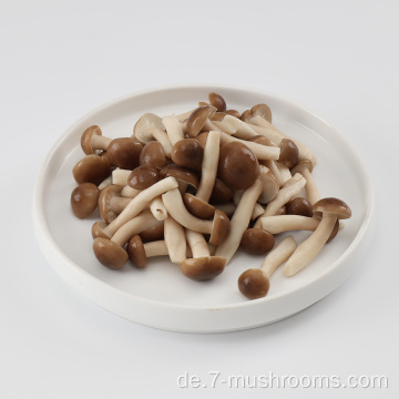 Gefrorener frisch geschnittener Buchenpilz-100g